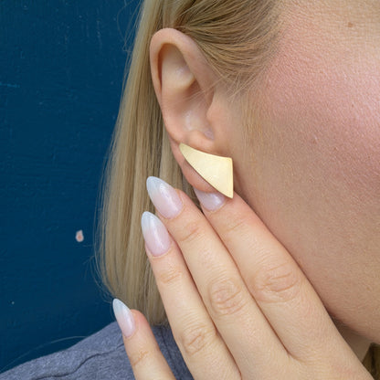 Wings Earrings