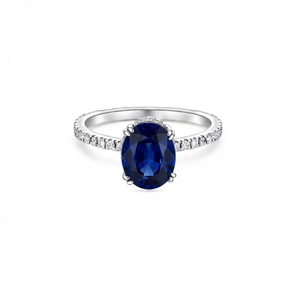 Velara Pavé Solitaire Ring – Blue Sapphire