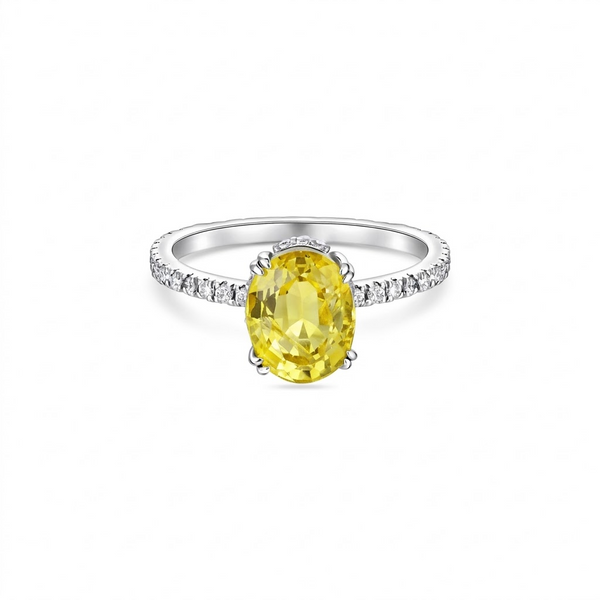 Velara Pavé Solitaire Ring – Yellow Sapphire