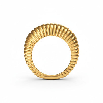 Segment Maxi Ring