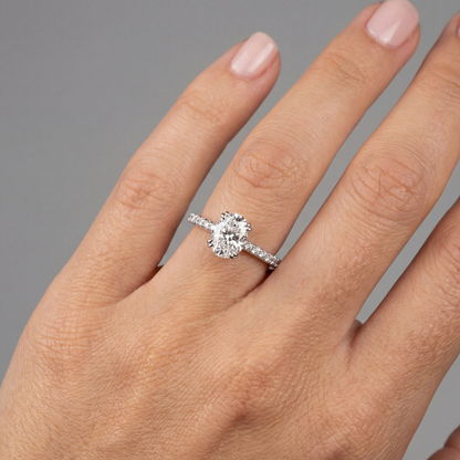 Velara Pavé Solitaire Ring – White Diamond